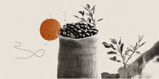 你是&lsquo;榛&rsquo;疯吗？